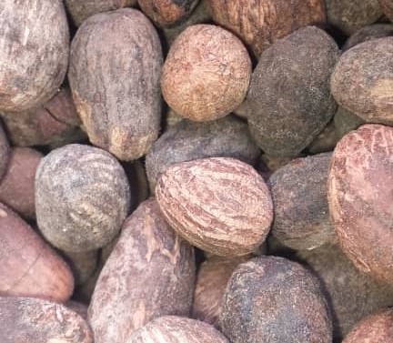 sheaNuts